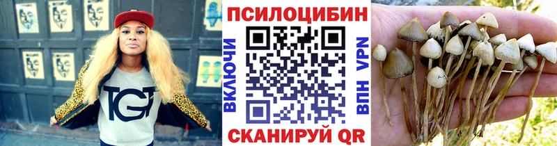 кракен маркетплейс  Усть-Джегута  Галлюциногенные грибы прущие грибы 